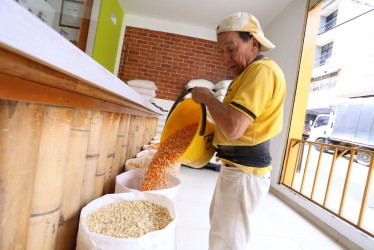 El maíz, protagonista de las mesas navideñas: símbolo de unión y tradición, reina en las comidas decembrinas en Caldas. Empresas como Granos Caldas dan abasto a su alta demanda, esencial para preparar natillas, buñuelos y tamales. Este grano, cosechado y transportado desde distintas regiones, mantiene viva la esencia de las festividades.