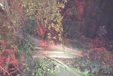 Este es el árbol que se fue al piso y mantiene cerrada la vía entre La Francia y Morrogacho, en Manizales.