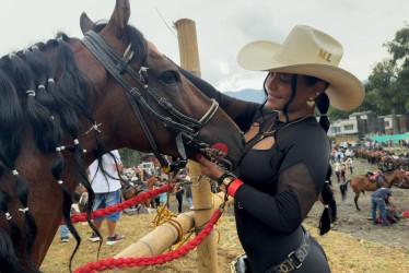 Desde la alcaldía informaron que Tequila, el ejemplar que sufrió un incidente durante la cabalgata, se encuentra en buen estado de salud