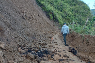 La falla geológica mantiene en vilo a los conductores y peatones de la vereda Los Limones. La atención del sector requieren máquinas oruga, equipo que no tiene la Alcaldía del municipio.  El alcalde y el coordinador de la maquinaria amarilla del municipio solo cuentan con una retroexcavadora y una volqueta para atender 390 kilómetros de vías, según los datos de la Administración. La Gobernación de Caldas aún no ha contratado los equipos para ayudar a despejar las vías en este 2025.