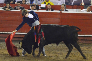 Felipe Miguel Negret le ejecuta un derechazo al novillo de la ganadería Ernesto Gutiérrez. 