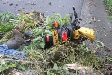 El accidente ocurrió en la mañana de este martes. La víctima murió de manera inmediata.