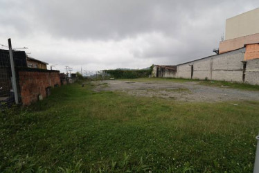 La escuela urbana Guingue marcó una época en Manizales. La demolieron  y hoy una parte es utilizada para cultivos