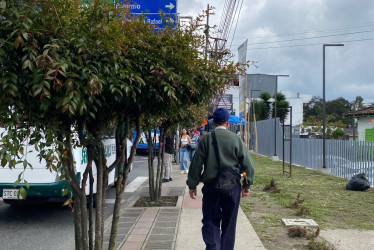 Fotos | LA PATRIA   Este árbol se llama Cereza Magenta. 