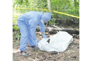 Hallaron dos cuerpos en zona rural de Caldas.