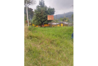 Monte en vez de cancha. Así está el espacio recreativo y deportivo que por años habían utilizado habitantes de la vereda La Pola, jurisdicción de Manizales. La Acción Comunal gestionará permiso ante el propietario con el propósito de programar un convite y limpiar el escenario.