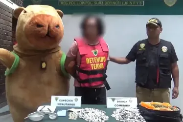 El video del agente vestido con el enorme disfraz entrando al domicilio del delincuente y atrapándolo se ha hecho viral en las redes