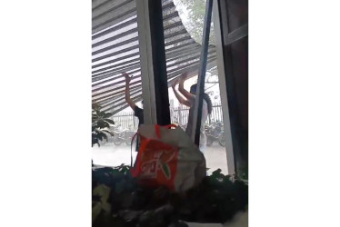 La Universidad de Caldas rechaza los disturbios registrados en su sede La Micaela. Afectaron carpas de carnetización y dañaron bienes públicos.