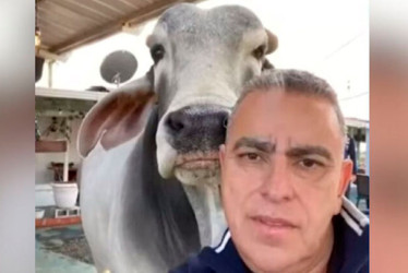 Alerta en el Eje Cafetero: estafas con lotes proindiviso engañan a compradores