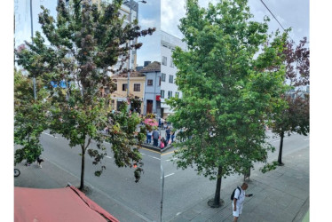Algunos de los árboles que piden intervenir en la avenida Santander. 