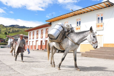Conozca la programación de las Fiestas del Regreso al Paraíso del Norte de Caldas, San Félix (Salamina).