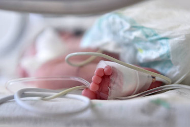 Autoridades investigan el caso para determinar si se trató de un neonato o un feto.