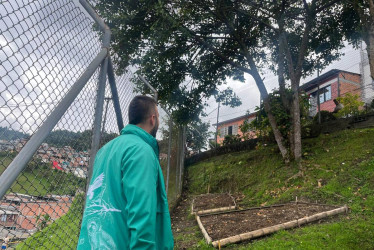 Entre el 2024 y el 2025 la Alcaldía de Manizales ha atendido alrededor de 7 mil 350 árboles. 