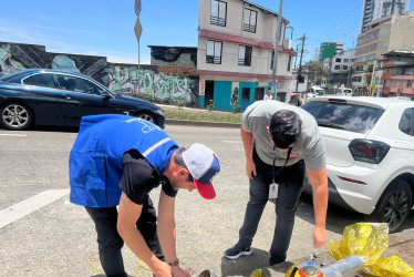 La presencia de garzas en áreas urbanizadas puede traer consigo problemáticas asociadas al entorno, como acumulación de desechos, riesgos en la movilidad o posibles afectaciones a la salud pública.