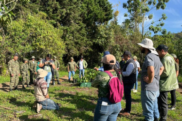 La siembra de árboles que se realizó este jueves en el Ecoparque Los Yarumos. 