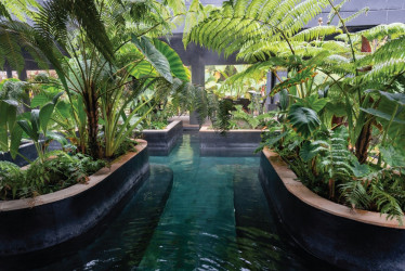 Así les fue a cuatro empresas dedicadas a la hotelería en Caldas, según la Superintendencia de Sociedades. Sus ingresos crecieron en $3 mil 131 millones frente al año anterior.