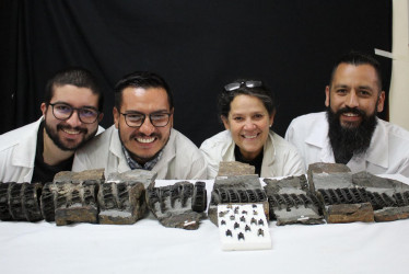 El grupo de científicos de la Universidad Nacional y del Servicio Geológico Colombiano posa junto al fósil de un tiburón gigante, que se considera el más completo que existe en el mundo.