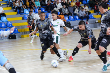 Universidad de Manizales