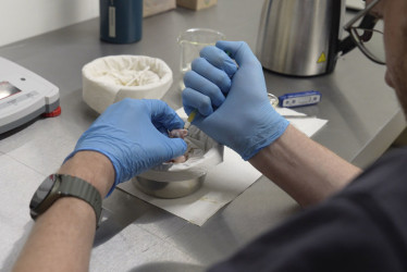  El zoológico belga Pairi Daiza anunció este viernes el excepcional nacimiento en sus instalaciones de un guacamayo azul o ara de Spix