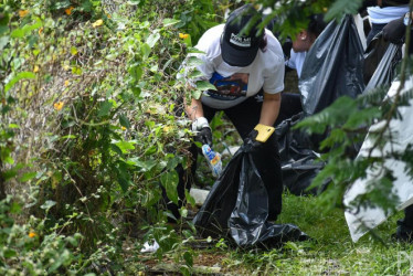 En la jornada de limpieza participaron grupos ambientalistas y estudiantes de los colegios del municipio, quienes con bolsas en mano recogieron inservibles en los alrededores del Parque Lineal.