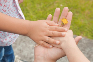  Las familias que ya han hecho parte del programa y quieran volver a participar simplemente les consultan sus antecedentes para verificar que no estén reportadas.
