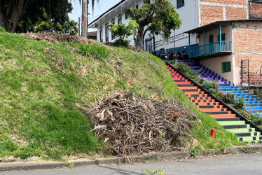 Así quedaron los residuos de la poda en el parque Arango Zea.