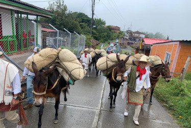 Los arrieros se tomaron las calles de Neira para llegar a Pueblo Rico donde fueron recibidas como.las protagonistas.
