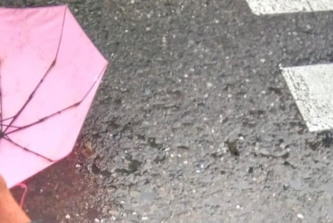 La adulta mayor iba a cruzar la cebra cuando fue arrollada por una moto.