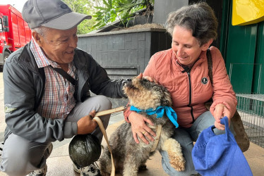 Mechudo se reencontró con su familia en una jornada de adopción de la UPA en Manizales, luego de tres meses de haberse perdido.