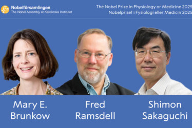El Premio Nobel de Medicina o Fisiología 2025 es para Mary E. Brunkow, Fred Ramsdell y Shimon Sakaguchi "por sus descubrimientos relacionados con la tolerancia inmunológica periférica", informó este lunes la Asamblea Nobel del Instituto Karolinska de Estocolmo.