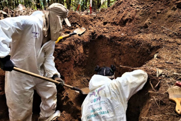 El hallazgo ocurrió en la cima de una montaña en el municipio de San Francisco, en Antioquia.