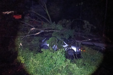 Dos carros quedaron atrapados entre árboles, postes y cables eléctricos en Pereira debido a un fuerte vendaval que cayó en la ciudad 