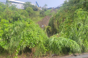 Según el reporte preliminar, los barrios más afectados son El Poblado, Parque industrial y la Avenida del Río