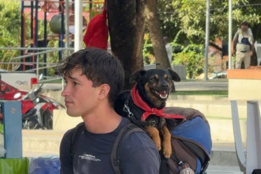 Fotos I Cortesía Paulo Tamayo I LA PATRIA  Josué Sousa, un joven venezolano decidido a regresar a su tierra natal, recorría las carreteras de Colombia con una mochila a cuestas y un compañero muy especial: Ares