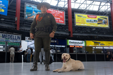 Sebastián Carmona lleva 19 años en la Policía y 3 como guía canino. Sostiene que los perros son animales que les enseñan a los humanos.