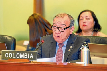 El exmagistrado de la Corte Constitucional Luis Vargas es el representante permanente de Colombia ante la OEA.