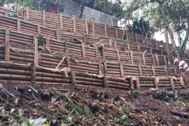 Así combate el Quindío los deslizamientos: bioingeniería como alternativa sostenible