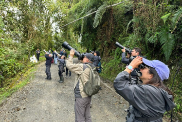 El grupo de participantes en la salida de campo a la Reserva Río Blanco, en Manizales.
