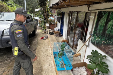 El recorrido por la vereda Cuchilla de los Santa. 