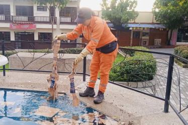 Así encontraron la pila del parque llena de basura.