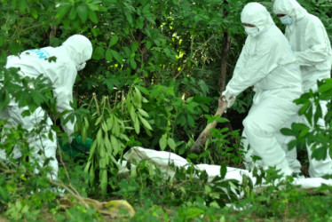 Son 2 los homicidios este fin de semana. 