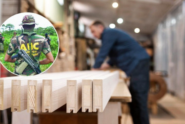 Condenan a cuatro exdirectivos de empresa maderera por financiar paramilitares