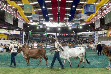 El gobernador también destacó que la feria generará una irrigación económica superior a los $6.000 millones y la hotelería copada mínimo al 80 % durante el evento