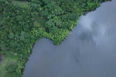  Laguna de San Diego, en Samaná (Caldas), que permanece cerrada por presencia del Virus de la Tilapia.
