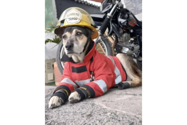 Anserma despidió la mascota del Cuerpo de Bomberos, conocida como Yango.