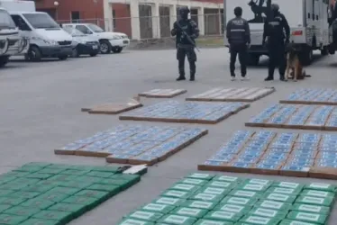Durante esta intervención fue aprehendido un ciudadano, identificado como Wilson Q. y se incautaron 598 kilogramos de clorhidrato de cocaína, valorado en más de 1,3 millones de dólares en el mercado nacional.