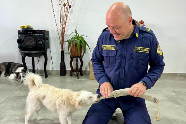 Lila, perrita ciega adoptada en Manizales, se adaptó rápidamente a su nuevo hogar.