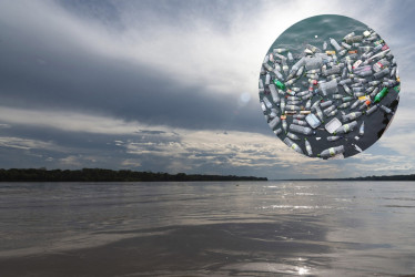 La investigación de la Universidad Nacional sede Manizales es uno de los primeros análisis realizados en Colombia sobre la presencia de microplásticos en animales terrestres como vacas y cerdos. 