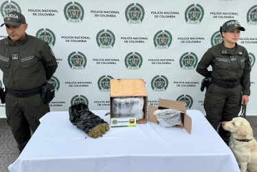 can encontro alijo de marihuana. 