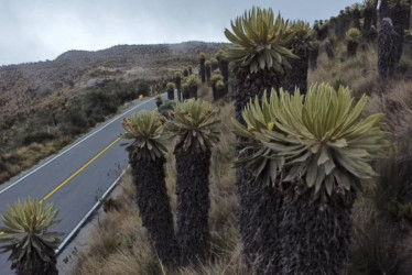 El pico y placa ambiental en la vía Manizales - Murillo, carretera que bordea el volcán Nevado del Ruiz. 